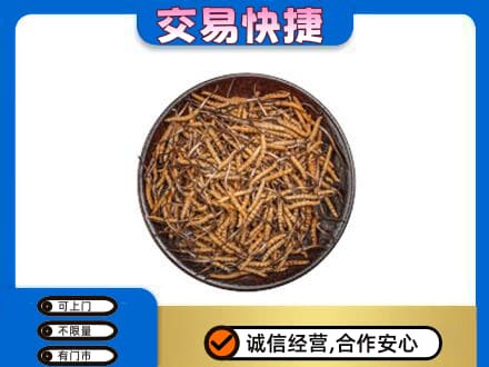 长治礼品回收虫草.jpg